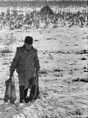 Magyarország, Alsónémedi, a felvétel a Külkereskedelmi Minisztérium vadásztársaságának körvadászatán készült., 1967, Bojár Sándor, Fortepan #179256