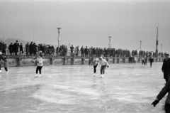 Magyarország, Balatonfüred, korcsolyázók a befagyott Balatonon a hajóállomásnál., 1967, Bojár Sándor, Fortepan #179317