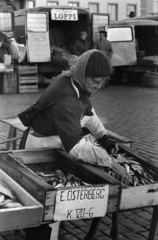 Finnország, Helsinki, a kikötői piactér (Kauppatori)., 1967, Bojár Sándor, Fortepan #179464