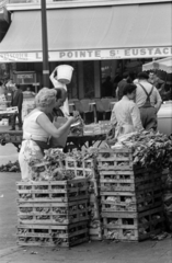 Franciaország, Párizs, Les Halles, Párizs nagybani piaca., 1967, Bojár Sándor, Fortepan #179499