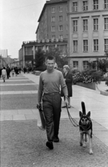 Germany, Dresden, Wilsdruffer Strasse 4-6. (Ernst-Thählmann-Strasse 6.), a "Szegedhaus", ma Restaurant Szeged., 1969, Bojár Sándor, GDR, dog, walking the dog, German shepherd, Fortepan #179568