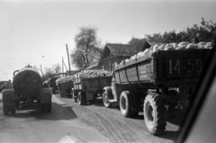 Kazahsztán, az út Taldi Kurgan és Aldabergenovo (ekkor Subar) között., 1968, Bojár Sándor, Szovjetunió, Fortepan #179707