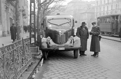 Magyarország, Budapest XI., Bartók Béla út 25, a Gellért tér felé nézve. IFA Phanomen Granit 27 teherautó., 1954, Magyar Rendőr, teherautó, IFA-márka, Robur-márka, rendőr, villamos, igazoltatás, rendszám, Robur Garant, szőrme, Budapest, szőrmesapka, Fortepan #17983