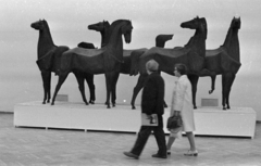 Magyarország, Budapest XIV., Műcsarnok, Kiss István szobrászművész kiállítása. Szemben a Lovak című szoborcsoportjának másolata., 1977, Bojár Sándor, szobor, kiállítás, lovas szobor, Budapest, művész, Fortepan #179856