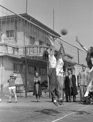 Magyarország, Óbuda, Budapest III., Tímár utcai sporttelep., 1954, Magyar Rendőr, sport, röplabda, Budapest, Fortepan #17990