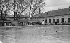 Magyarország, Eger, városi strand., 1967, Bojár Sándor, Fortepan #180016