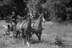 Hungary, Csongrád, 1969, Bojár Sándor, Fortepan #180110