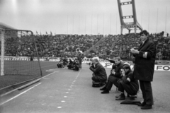 Hungary, Népstadion, Budapest XIV., 1966. október 30. Magyarország - Ausztria 3:1 (1:0) válogatott labdarúgó-mérkőzés., 1966, Bojár Sándor, Budapest, Fortepan #180179