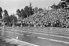 Finnország, Helsinki, XV. nyári olimpiai játékok., 1952, Bojár Sándor, nő, úszás, nézőtér, olimpia, rajtkő, Fortepan #180392