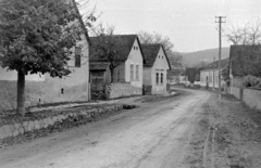 Magyarország, 1954, Magyar Rendőr, utcakép, lakóház, földút, kukoricagóré, Fortepan #18040