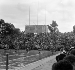 Finnország, Helsinki, XV. nyári olimpiai játékok., 1952, Bojár Sándor, nézőtér, képarány: négyzetes, olimpia, eredményjelző, medence, medence létra, rajtkő, Fortepan #180466