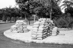 Magyarország, Népliget, Budapest X., Lengyel sétány a Vajda Péter utca felől. a fák között takarva a Lengyel Légionisták emlékműve., 1949, Bojár Sándor, Budapest, homokzsák, Fortepan #180503