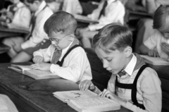 1955, Bojár Sándor, reading, student, school desk, Fortepan #180594