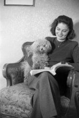 Hungary, Budapest VIII., Somogyi Béla (Rökk Szilárd) utca 16., Szemere Vera színművésznő az otthonában., 1948, Bojár Sándor, Budapest, smile, lady, portrait, book, dog, Fortepan #180652