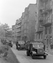 Magyarország, Budapest II., Mechwart liget a Keleti Károly utca felől nézve., 1956, Magyar Rendőr, forradalom, magyar gyártmány, teherautó, utcakép, Csepel-márka, Csepel D-420, Csepel B-350/D-350, Budapest, Fortepan #18126