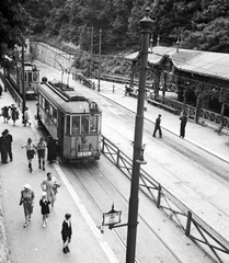 Magyarország, Budapest XII., Zugliget, villamos-végállomás., 1940, Székács András, magyar gyártmány, villamos, villamosmegálló, Ganz-márka, BKVT V-típus, Budapest, viszonylatszám, Fortepan #18177