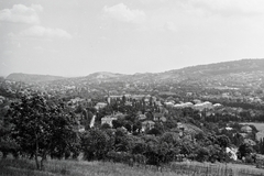 Magyarország, Budapest II., látkép a Vaskapu-hegy oldalából Pasarét és a budai hegyvidék felé. Középen a Pasaréti téri Páduai Szent Antal-templom., 1955, Kotnyek Antal, látkép, kerítés, Budapest, Fortepan #18228