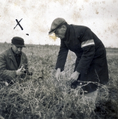 Románia,Erdély, munkaszolgálatosok a Károly (Carol) vonal bontásán dolgoznak., 1942, Fortepan/Album029, munkaszolgálatos, Fortepan #183216