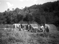 Magyarország,Balaton, Tihany, a kikötő építésén dolgozó munkások tábora 1909-1910 között. Leltári jelzet: MMKM TEMGY 2019.1.1. 0365, 1910, Magyar Műszaki és Közlekedési Múzeum / BAHART Archívum, talicska, sátor, Fortepan #183253