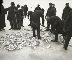 Hungary,Lake Balaton, Siófok, bemutató halászat a befagyott tavon Mayer János földművelési miniszter tiszteletére. Balra vadászkalapban Kaáli Nagy Dezső az Országos Vízépítési Igazgatóság mérnöke. Leltári jelzet: MMKM TEMGY 2019.1.1. 1102, 1924, Magyar Műszaki és Közlekedési Múzeum / BAHART Archívum, winter, shovel, fish, Fortepan #183487