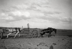 Magyarország, Balatonföldvár, »Lovas kubikos kordélyok a balatonföldvári kikötő építésénél, 1935.« Leltári jelzet: MMKM TEMGY 2019.1.1. 1108, 1935, Magyar Műszaki és Közlekedési Múzeum / BAHART Archívum, lovaskocsi, lószerszám, Fortepan #183489