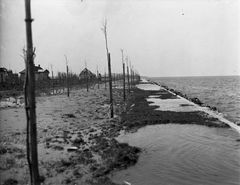 Magyarország, Balatonboglár, Feltöltött terület a kikötőtől nyugatra. Leltári jelzet: MMKM TEMGY 2019.1.1. 0307, 1926, Magyar Műszaki és Közlekedési Múzeum / BAHART Archívum, Fortepan #183635