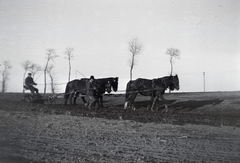 1936, Breuer Pál, Fortepan #183652