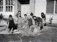 Romania,Transylvania, 1940, Divéky István, student, Fortepan #183820