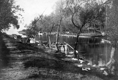 Magyarország,Balaton, Siófok, a Balatoni Halászati Rt. halászbárkái a Sió természetes vízfolyásán., 1930, Jankovszky György, Balaton, ösvény, csatorna, Fortepan #18407