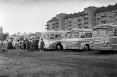 Ausztria, Bécs, autóbuszparkoló a Duna-part mellett, háttérben a Handelskai, balra a Mexikoplatz-on az Assisi Szent Ferenc-templom egyik tornya látszik., 1960, Ferencz Zoltán Zénó, pihenőhely, Fortepan #184202