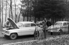 1960, Ferencz Zoltán Zénó, Skoda Octavia, Trabant 500, pihenés, Fortepan #184245