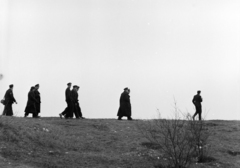 Magyarország, Gellérthegy, Budapest XI., a felvétel a Jubileumi park építkezése alkalmával készült, a Citadella alatti déli lejtőn., 1964, Inkei Péter, Budapest, Fortepan #184729