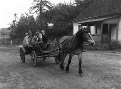 Poland, a felvétel a Varsó-Gdansk közötti főközlekedési út mentén készült., 1963, Inkei Péter, Fortepan #184738