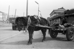 Mongólia, Ulánbátor, 1967, Inkei Péter, Fortepan #184784