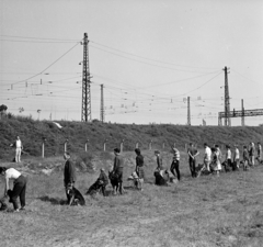 Magyarország, Budapest IX., Gyáli út - Ecseri út - Üllői út - vasút közötti terület, kutyaoktatás., 1962, Inkey Tibor, kutya, Budapest, Fortepan #184865