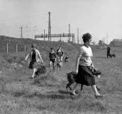 Magyarország, Budapest IX., Gyáli út - Ecseri út - Üllői út - vasút közötti terület, kutyaoktatás. Háttérben az Üllői úton túl az egykori vámház (később hotel)., 1962, Inkey Tibor, kutya, Budapest, Fortepan #184867