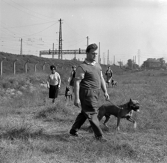 Magyarország, Budapest IX., Gyáli út - Ecseri út - Üllői út - vasút közötti terület, kutyaoktatás. Háttérben az Üllői úton túl az egykori vámház (később hotel)., 1962, Inkey Tibor, kutya, Budapest, Fortepan #184868