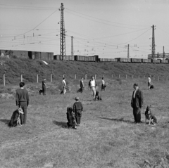 Magyarország, Budapest IX., Gyáli út - Ecseri út - Üllői út - vasút közötti terület, kutyaoktatás., 1962, Inkey Tibor, kutya, Budapest, Fortepan #184869