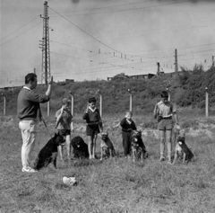 Magyarország, Budapest IX., Gyáli út - Ecseri út - Üllői út - vasút közötti terület, kutyaoktatás., 1962, Inkey Tibor, kutya, Budapest, Fortepan #184878