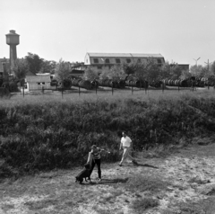 Magyarország, Budapest IX., Gyáli út - Ecseri út - Üllői út - vasút közötti terület, kutyaoktatás. Háttérben a Magyar Posta Gyáli úti telepe., 1962, Inkey Tibor, kutya, Budapest, Fortepan #184881