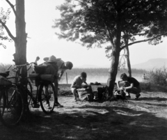 Magyarország,Balaton, Balaton-part Alsóbélatelep környékén., 1959, Inkey Tibor, fiúk, kerékpár, fenyőfa, turistafelszerelés, Fortepan #184906