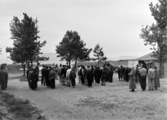 Magyarország, Balatonfenyves, a budapesti Eötvös Gimnázium tábora., 1959, Inkey Tibor, sorakozó, tábor, Fortepan #184908