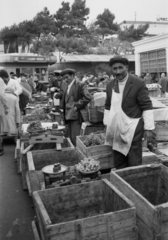 Azerbajdzsán, Baku, Səməd Vurğun utca, Təzə bazar (Új piac)., 1975, Kende János, Szovjetunió, Fortepan #185192