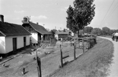 Hungary, Tiszakeszi, gyalogút a gáton, a révtől a Kolozsvári utca felé., 1976, Kende János, Fortepan #185295