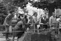 Hungary, Zoo, Budapest XIV., 1976, Kende János, Budapest, railing, curiosity, Fortepan #185409