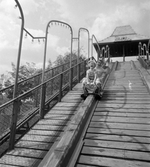 Magyarország, Városliget,Vidámpark, Budapest XIV., Ródli., 1962, Kotnyek Antal, szán, Budapest, Fortepan #18550