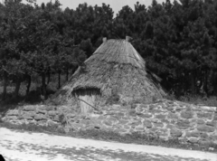 1959, Kádár József, nádtető, terméskő, kalyiba, Fortepan #185771