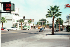 USA, California,Los Angeles, Studio City lakónegyed, Ventura Boulevard., 1960, Lugosi Szilvia, Volkswagen Beetle, colorful, palm tree, Fortepan #186316