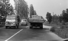 1977, Gulyás Zsuzsa, Ikarus 55, Barkas-márka, Zuk-márka, IFA W50, rendszám, Fortepan #186348