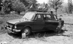 1977, Gulyás Zsuzsa, lányok-járművek, tetőcsomagtartó, strandcikkek, Skoda 100, Fortepan #186350